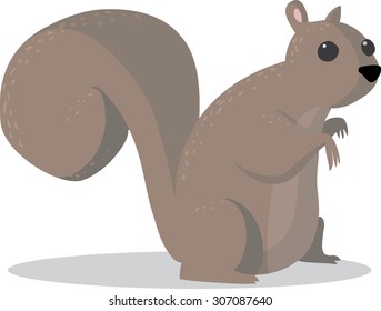 Squirrel looking confused and not sure about its fate