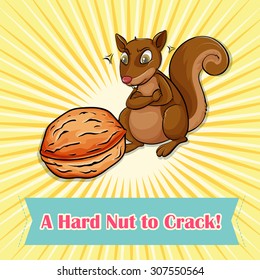 Squirrel looking at a nut	 illustration