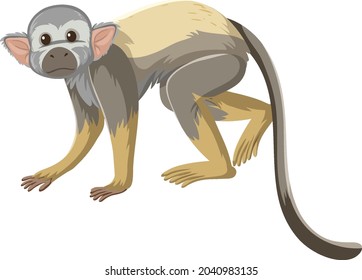Squirrel monkey cartoon character isolated on white background illustration