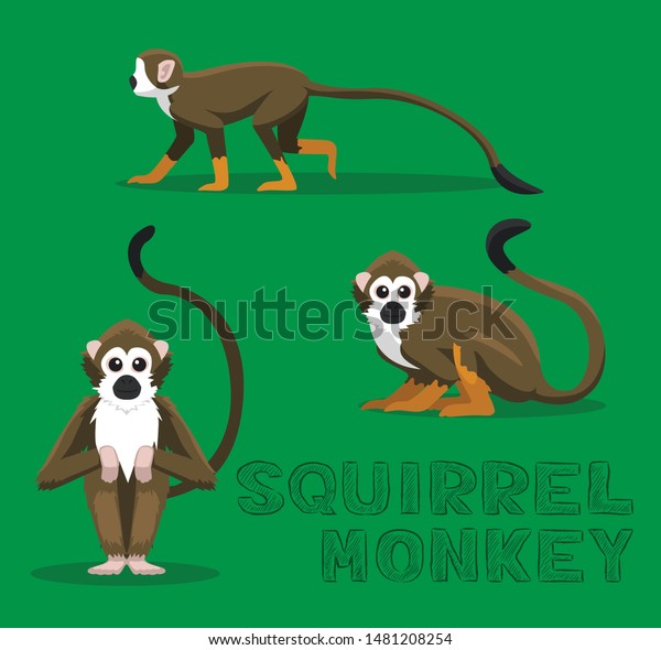 Squirrel Monkey\
Cartoon Vector\
Illustration