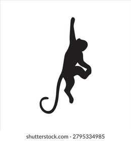 Squirrel Monkey silhouettes and icons. Black flat color simple elegant Squirrel Monkey animal vector and illustration.