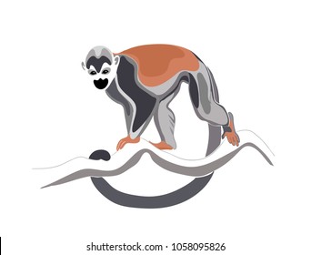  squirrel monkey vector image