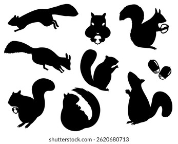 squirrel monochrome silhouette illustration set