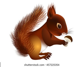 Squirrel with mushroom.