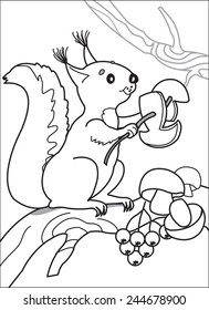 Squirrel with mushrooms and berries. Fluffy squirrel sitting on Bough and stringing the mushrooms on a branch near lie berries and mushrooms, protein makes food supply. Coloring page