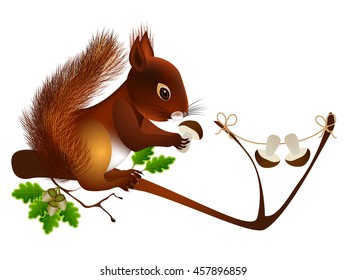 Squirrel with mushrooms on oak branch.