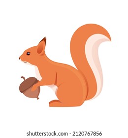 Squirrel with nut. Animal design. Vector illustration isolated on white background