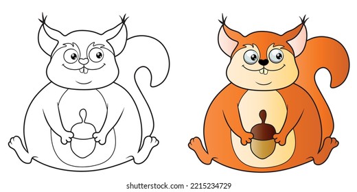Squirrel with nut coloring book, squirrel vector illustration color and black and white, Clipart and print cute squirrel