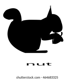 squirrel with nut - vector illustrator