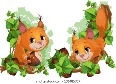 squirrel and nutlets