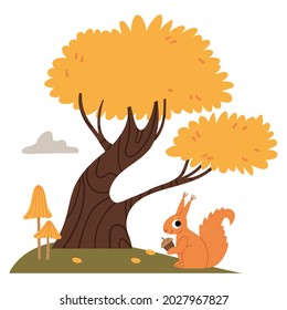 Squirrel on the autumn lawn.Autumn yellow maple. Mushrooms in the forest.