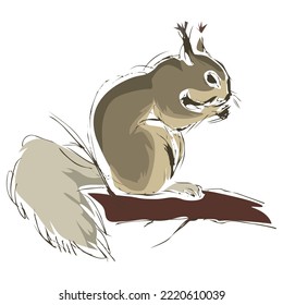 Squirrel On A Branch Vector Illustration
