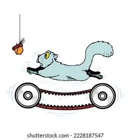 Squirrel on running wheel isolated on a white background.