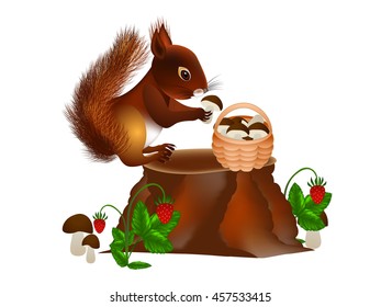 Squirrel on a stump with mushrooms.