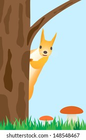 Squirrel on the tree.