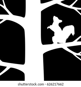 Squirrel on the tree.