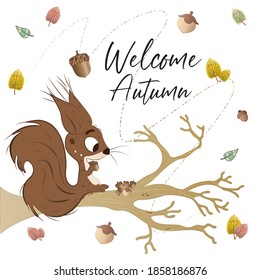 Squirrel on a tree branch. Autumn season - Vector