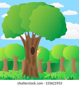 The squirrel on a tree in the forest.