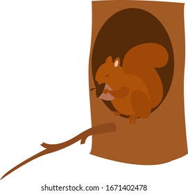 Squirrel on a tree, illustration, vector on white background.