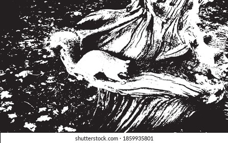 Squirrel on tree trunk. Vector illustration. Background texture.