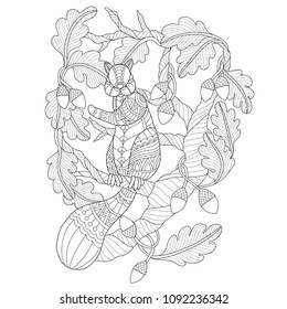 Squirrel on the tree. Zentangle stylized cartoon isolated on white background. Hand drawn sketch illustration for adult coloring book.