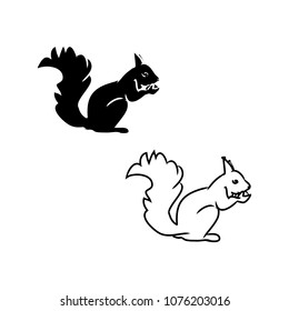 squirrel on white background, vector illustration