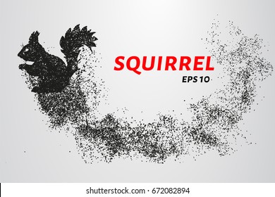 The squirrel from the particles. Silhouette of squirrel consists of small circles. Vector illustration