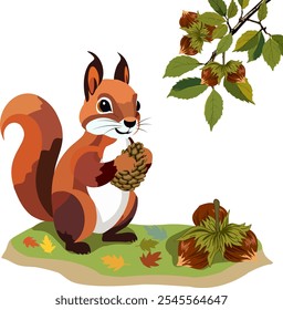 Squirrel with a pine cone.Vector illustration with red squirrel, pine cone and nuts on transparent background.