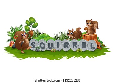 Squirrel are playing in the garden