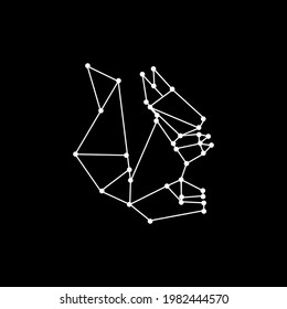 Squirrel Polygonal Lines Illustration for Logo or Design Element. Vector Illustration