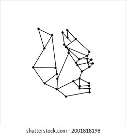 
Ilustración de líneas poligonales de ardilla para elementos de logotipo o diseño. Ilustración vectorial