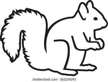 Squirrel realistic contour