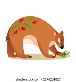 Squirrel, roses, squirrel in roses, squirrel in the briar, squirrel with rose tattoo