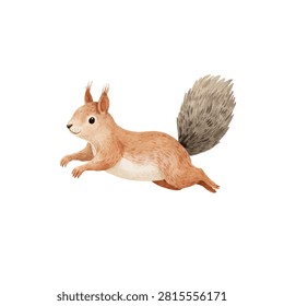 Squirrel running with big fluffy tail