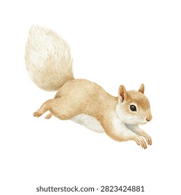 Squirrel running with fluffy tail