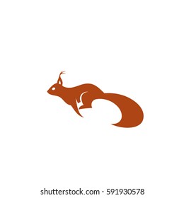 Squirrel running - vector illustration