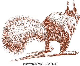 squirrel runs away