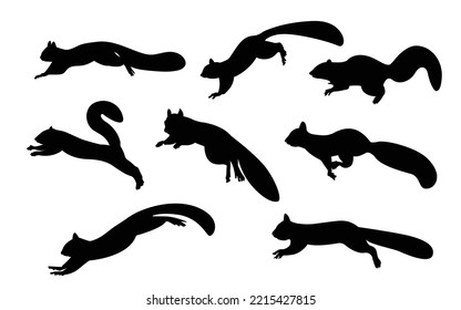 Squirrel set cartoon cute funny brown squirrel collection. Little animal mood. Animal cartoon character design, vector illustration, flat isolated on white background.