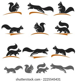 Squirrel set. Collection squirrel icons. Vector