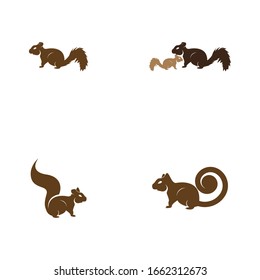 Squirrel set  image logo symbol vector illustration on white background