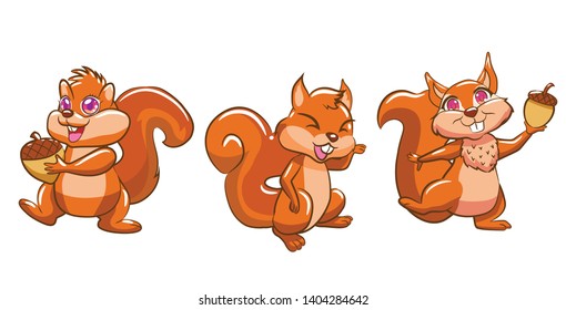 squirrel set vector graphic design