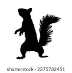 squirrel silhouette design isolated on white background. Squirrel vector silhouette on white background. Vector illustration.