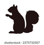 squirrel silhouette design isolated on white background. Squirrel vector silhouette on white background. Vector illustration.