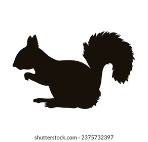 squirrel silhouette design isolated on white background. Squirrel vector silhouette on white background. Vector illustration.