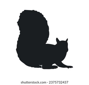 squirrel silhouette design isolated on white background. Squirrel vector silhouette on white background. Vector illustration.