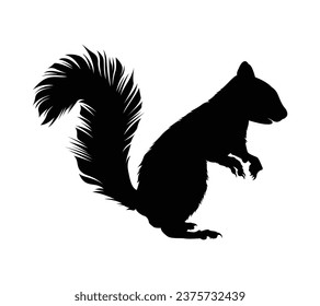 squirrel silhouette design isolated on white background. Squirrel vector silhouette on white background. Vector illustration.