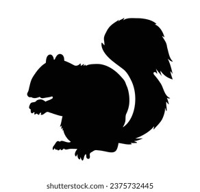 squirrel silhouette design isolated on white background. Squirrel vector silhouette on white background. Vector illustration.
