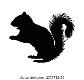 squirrel silhouette design isolated on white background. Squirrel vector silhouette on white background. Vector illustration.
