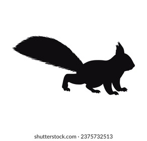 squirrel silhouette design isolated on white background. Squirrel vector silhouette on white background. Vector illustration.