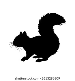 Squirrel silhouette icon vector flat design on white background.